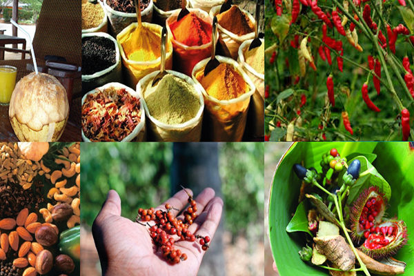 Spice Farm